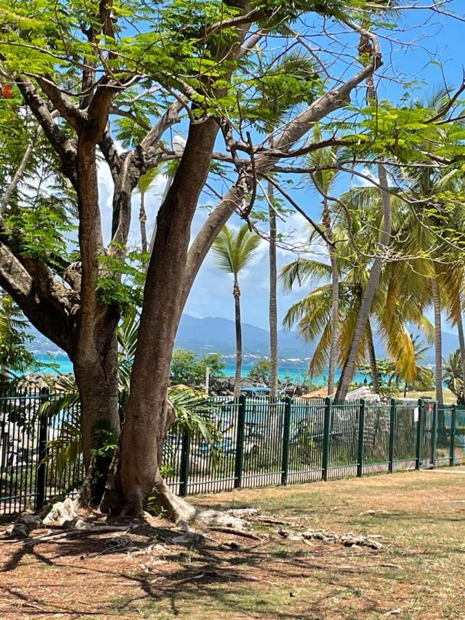 Cauris Lodge Du Marisol Vue Mer Acces Direct Plage Avec Citerne D Eau Ле-Гозьє Екстер'єр фото